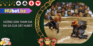 Hướng dẫn tham gia đá gà cựa sắt hubet