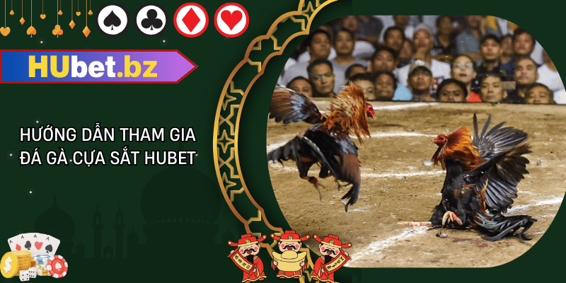 Hướng dẫn tham gia đá gà cựa sắt hubet