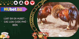 Luật đá gà hubet - các loại cược phổ biến